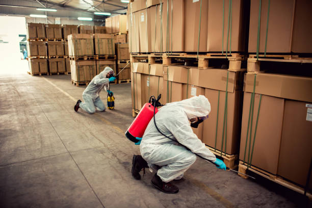 Best Mosquito Control Services  in Ellenville, NY