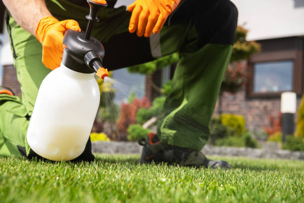 Pest Prevention Services in Ellenville, NY