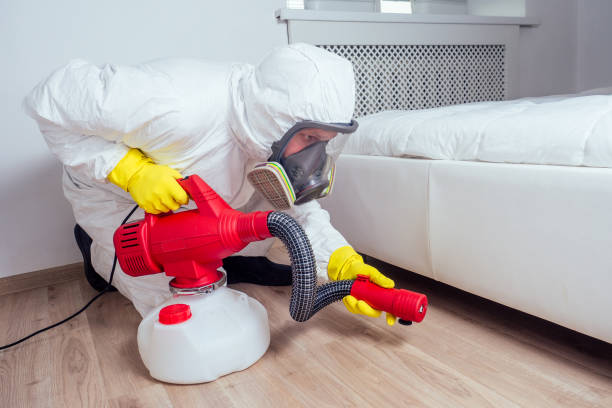 Flea Control Services in Ellenville, NY