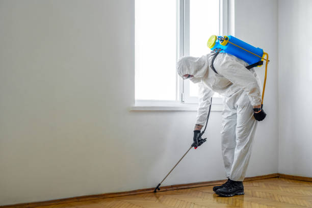 Pest Control Cost in Ellenville, NY