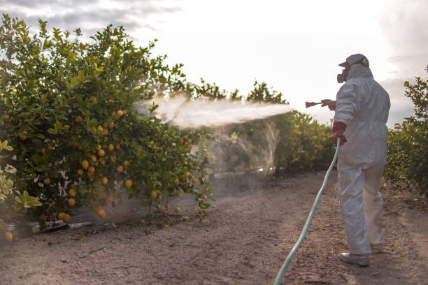 Best Cockroach Control Services  in Ellenville, NY