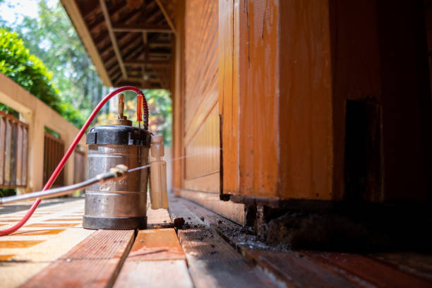 Best Commercial Pest Control Services  in Ellenville, NY