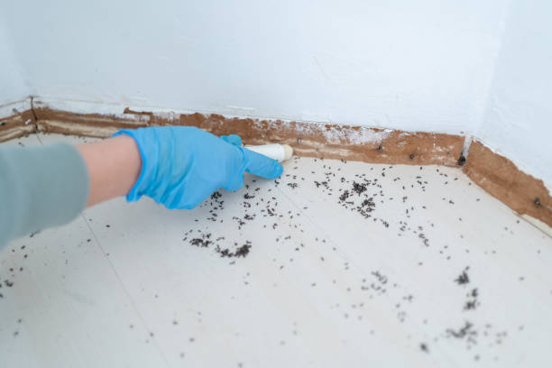 Trusted Ellenville, NY Pest Control Experts