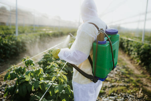 Flea Control Services in Ellenville, NY